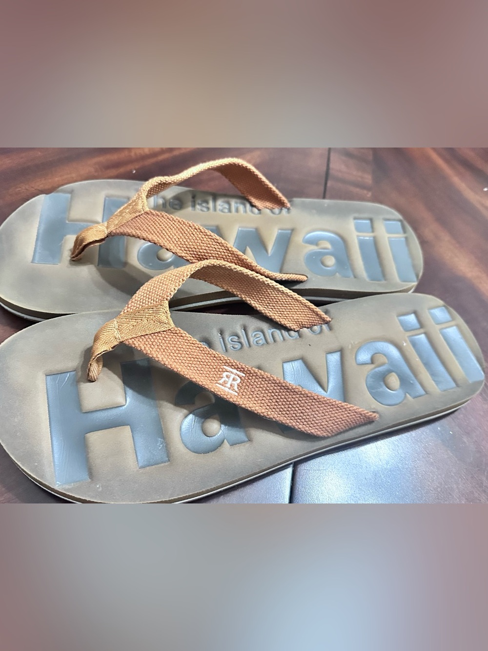 Robin Ruth Brown Canvas Flip-Flop Sandals with Embroidered Logo (shoe25)